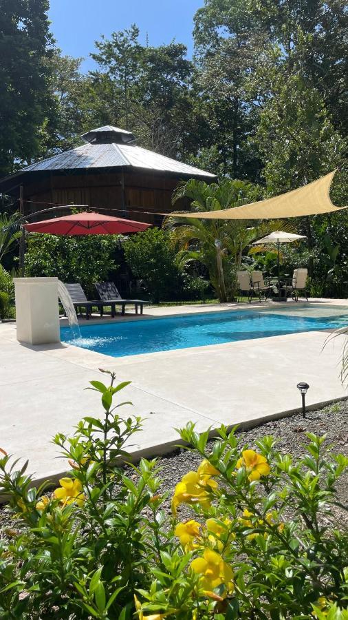 La Amapola Lodge, Bungalow En Peninsula De Osa. Barrigones Eksteriør billede