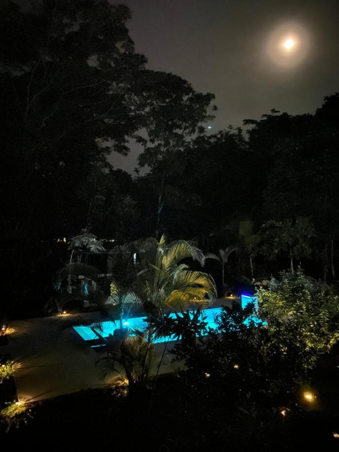 La Amapola Lodge, Bungalow En Peninsula De Osa. Barrigones Eksteriør billede