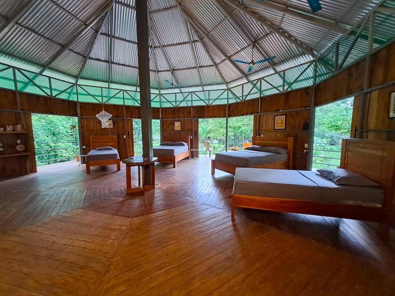 La Amapola Lodge, Bungalow En Peninsula De Osa. Barrigones Eksteriør billede